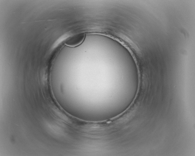 X0000115841450200911271210