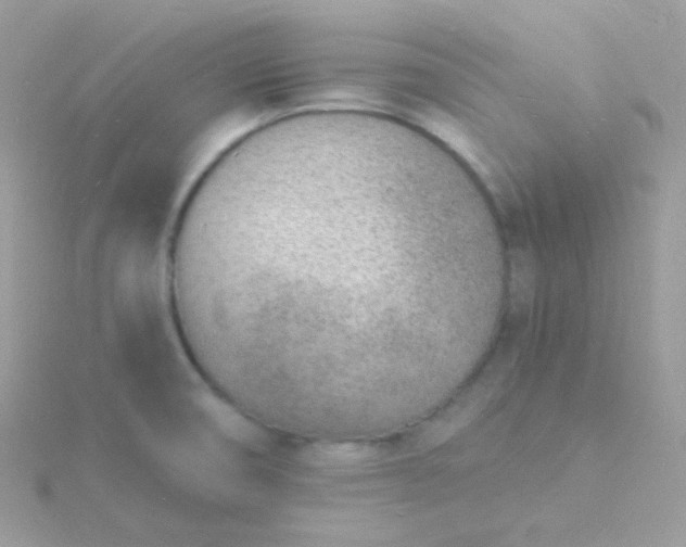 X0000115841474200911271210