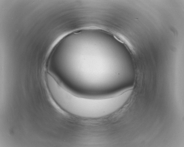 X0000115841476200911271210