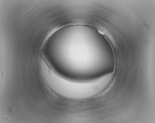 X0000115841481200911271210