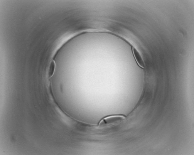 X0000115841485200911271210