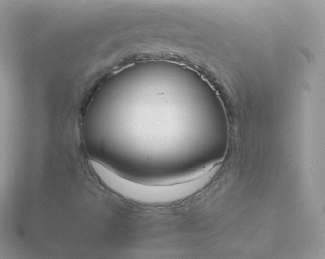 X0000115841493200911271209