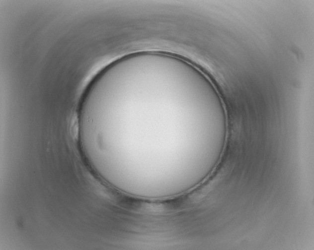 X0000115841509200911271209