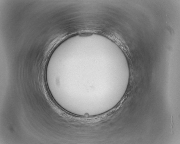 X0000115840001200912041718