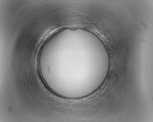 X0000115840002200912041718