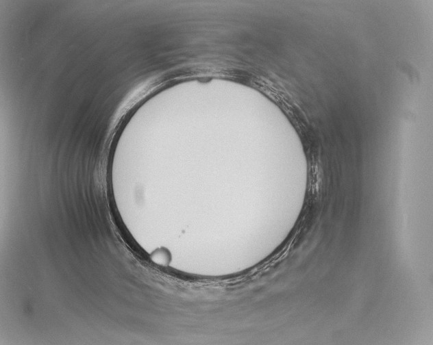 X0000115840004200912041717