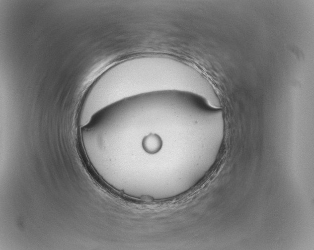 X0000115840005200912041717