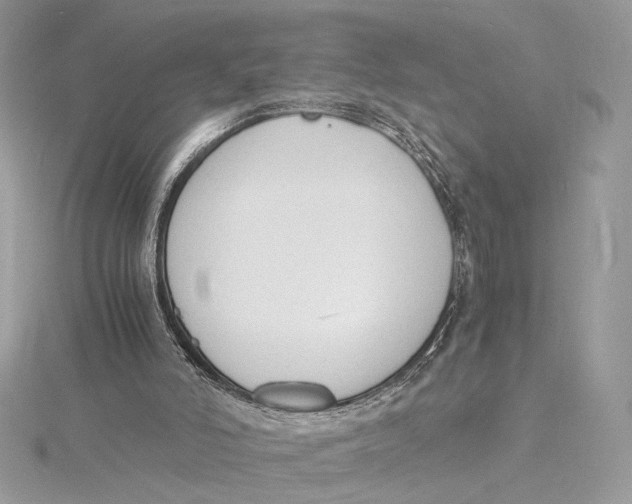 X0000115840006200912041717