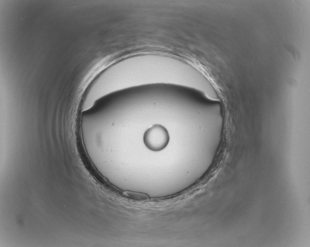 X0000115840007200912041717