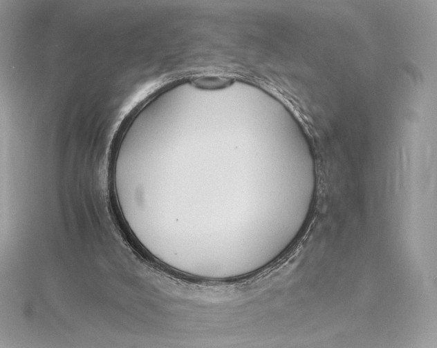 X0000115840008200912041717