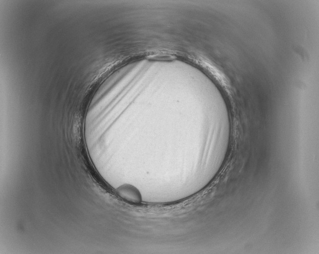 X0000115840009200912041717