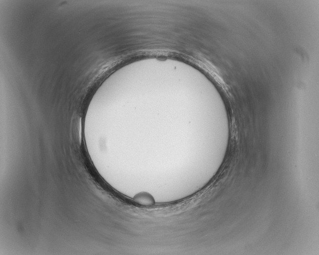 X0000115840013200912041717