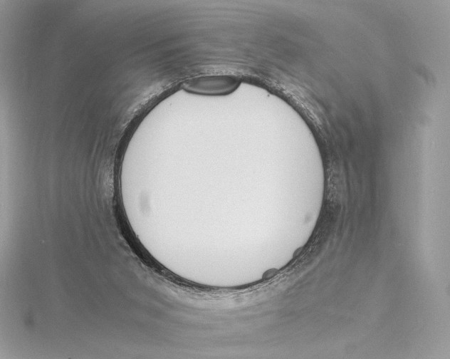 X0000115840015200912041717