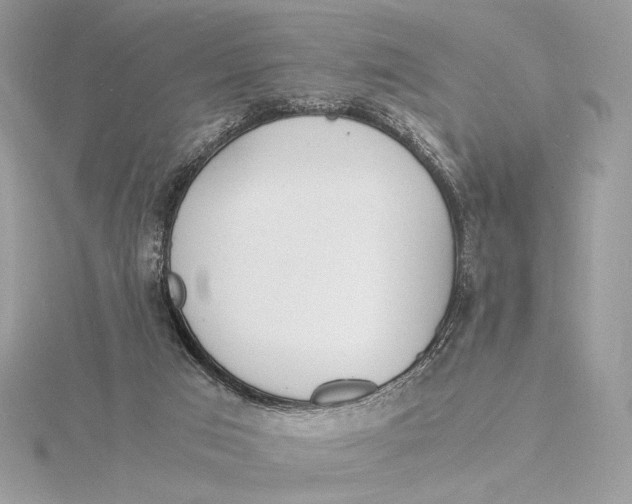 X0000115840017200912041717