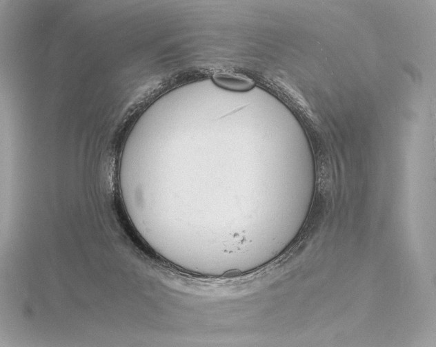 X0000115840023200912041717