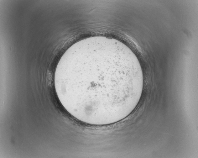 X0000115840025200912041717