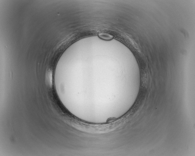 X0000115840027200912041717