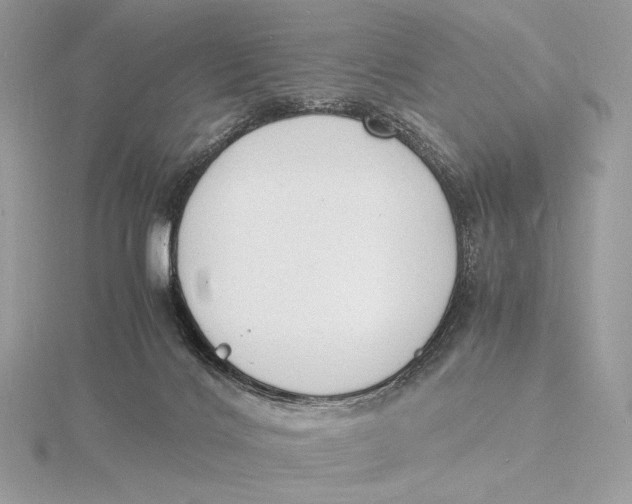 X0000115840028200912041717