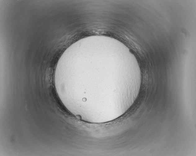 X0000115840030200912041717