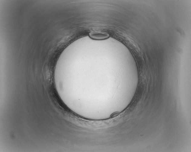 X0000115840031200912041717