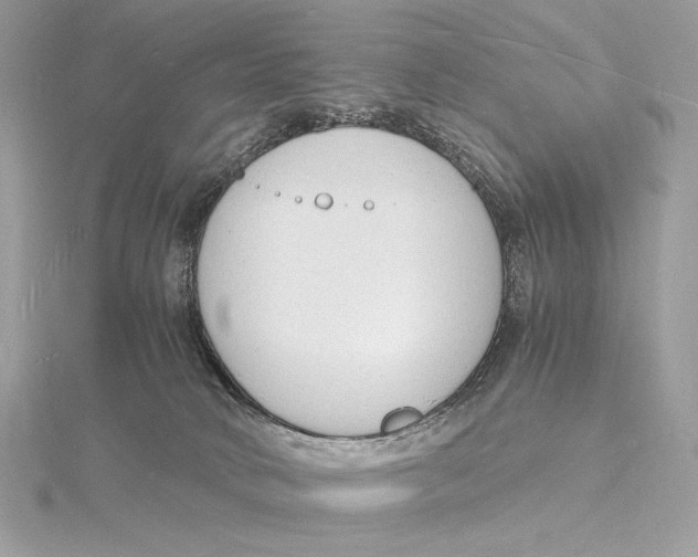 X0000115840034200912041717