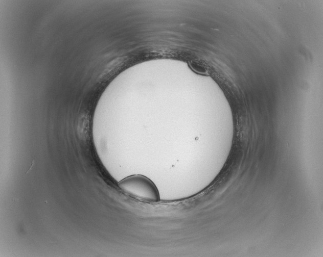 X0000115840036200912041717