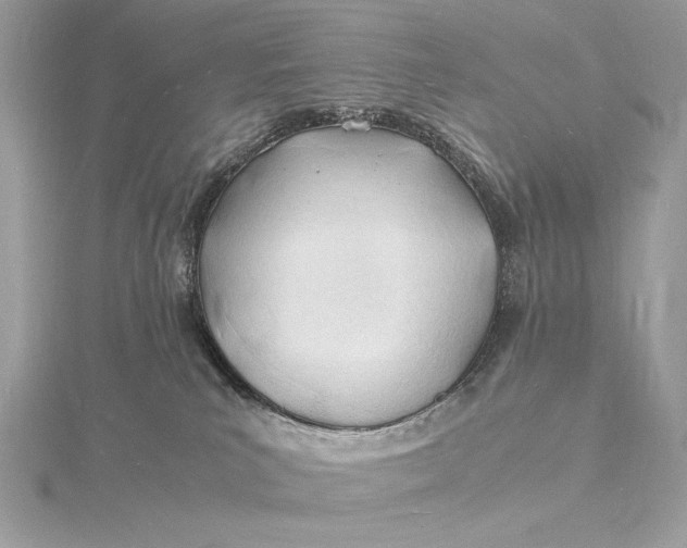 X0000115840039200912041717