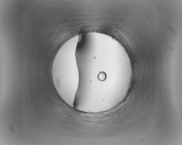 X0000115840041200912041717