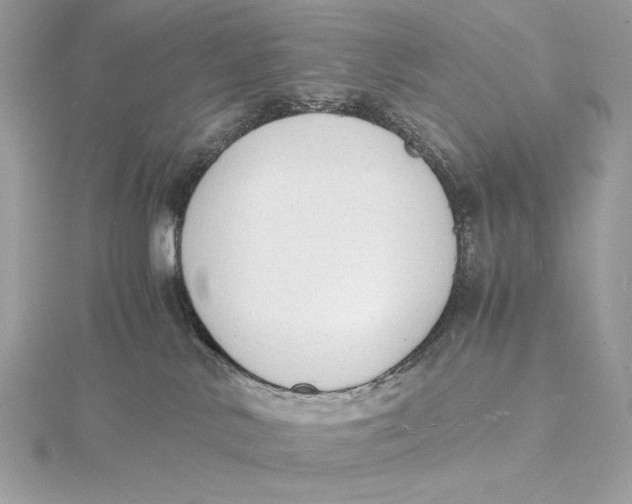 X0000115840042200912041717