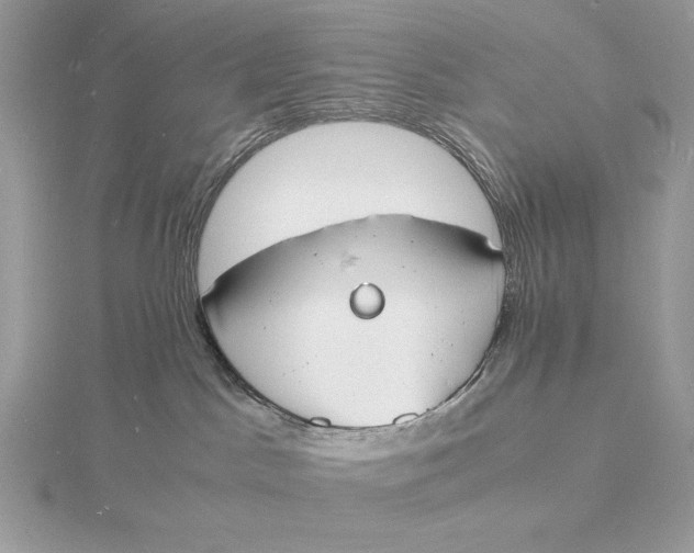 X0000115840045200912041717