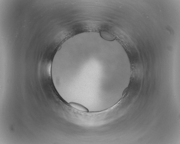 X0000115840047200912041717