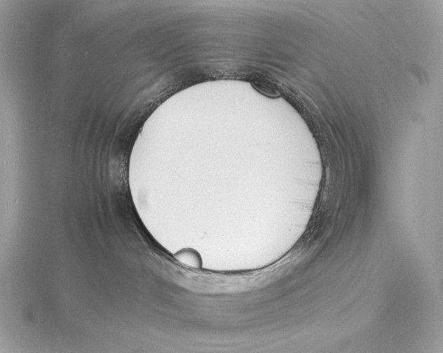 X0000115840048200912041717