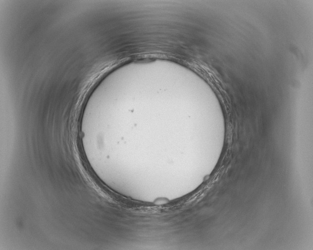 X0000115840049200912041716