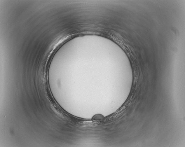 X0000115840050200912041716