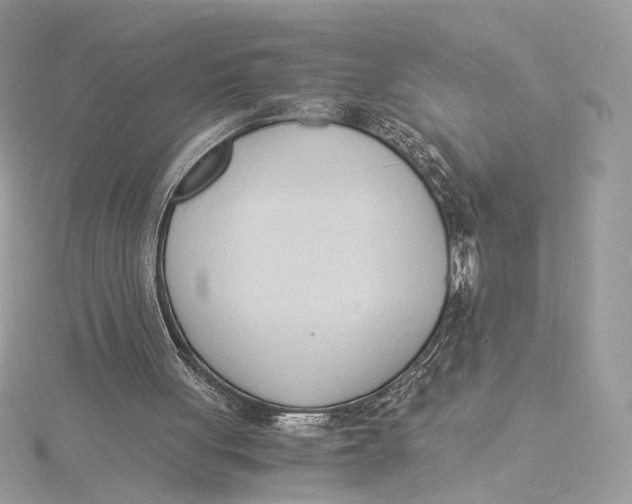 X0000115840051200912041716