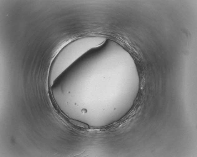 X0000115840052200912041716