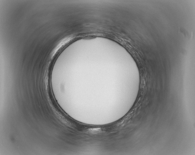 X0000115840054200912041716