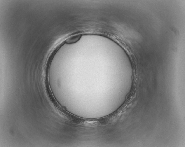 X0000115840055200912041716