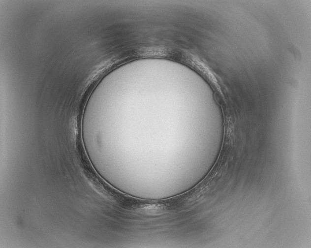 X0000115840059200912041716