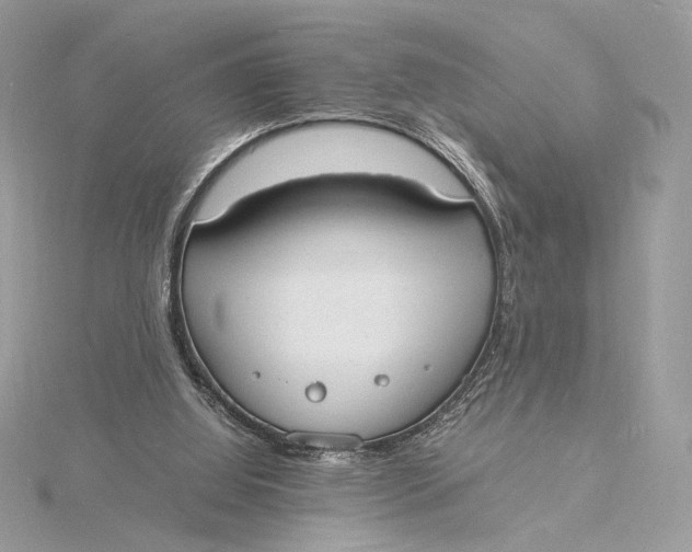 X0000115840060200912041716