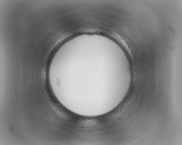 X0000115840063200912041716