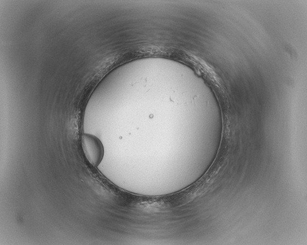 X0000115840065200912041717