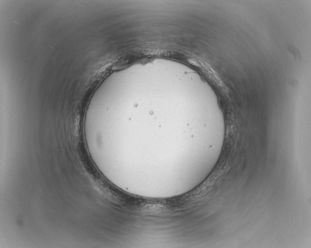 X0000115840066200912041717