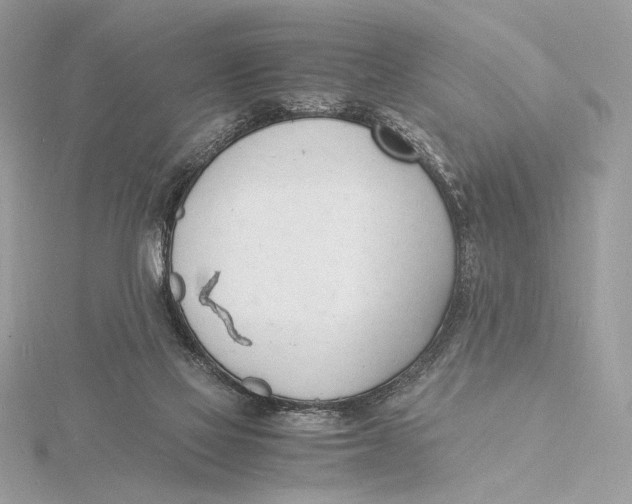 X0000115840069200912041717