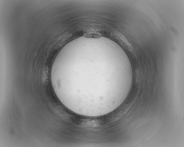 X0000115840073200912041717