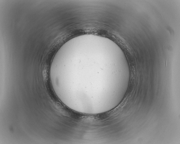 X0000115840074200912041717