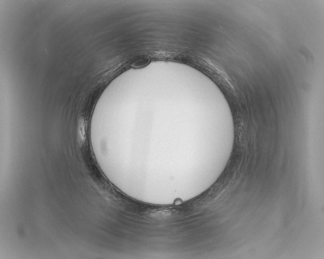 X0000115840075200912041717