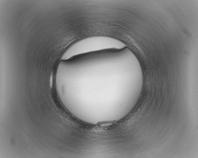 X0000115840076200912041717