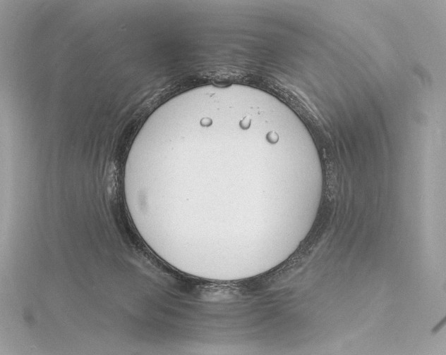 X0000115840077200912041717