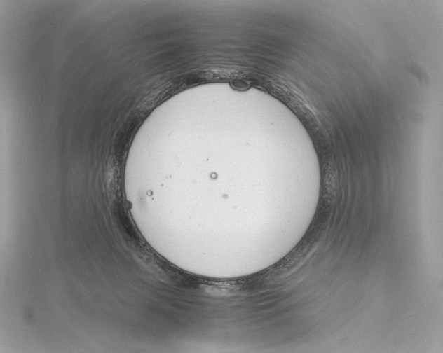 X0000115840079200912041717